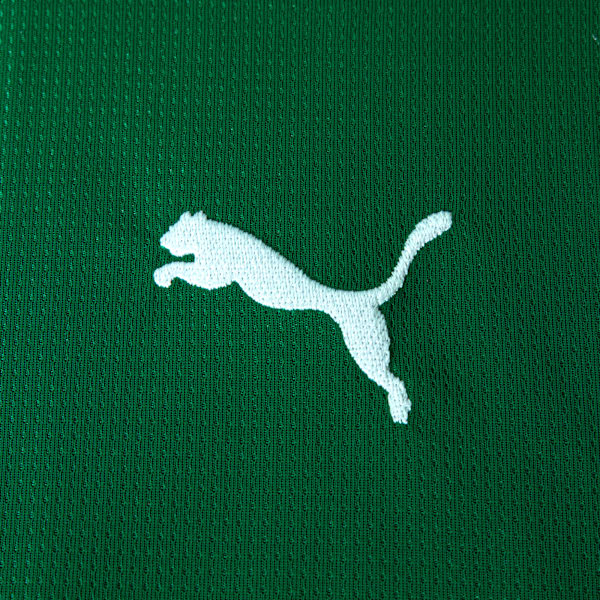 Camisas Palmeiras 2026/27 Puma Masculino - Verde